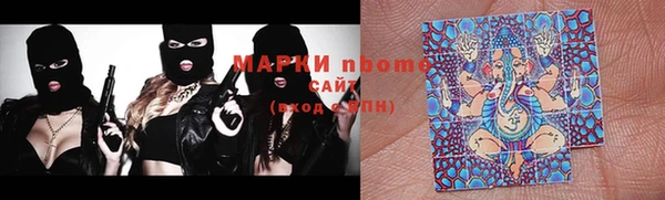 прущие грибы Абаза
