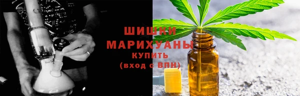 прущие грибы Абаза