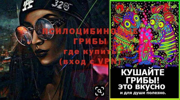 mdpv Коряжма
