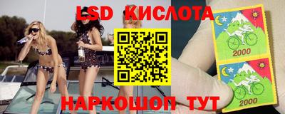СК Краснознаменск