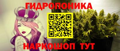 СК Краснознаменск
