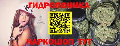 СК Краснознаменск