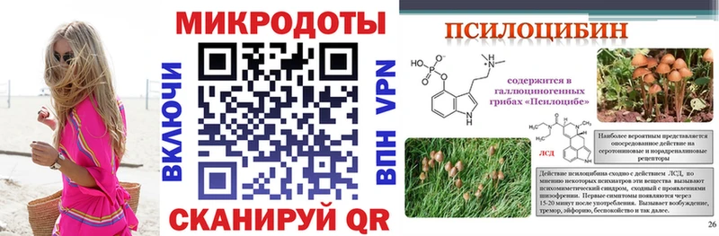 Псилоцибиновые грибы GOLDEN TEACHER  Фрязино 