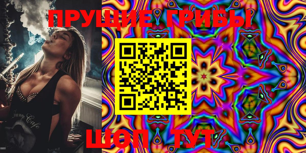 Фрязино  Галлюциногенные грибы Magic Shrooms  Вход с VPN  Галлюциногенные грибы Psilocybine cubensis 